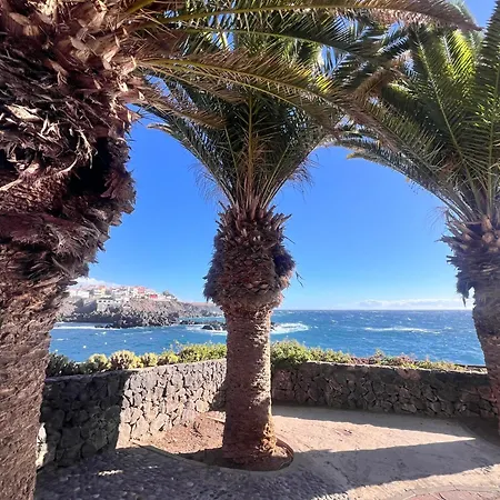 2 Bedroom With Solarium Terrace Daire